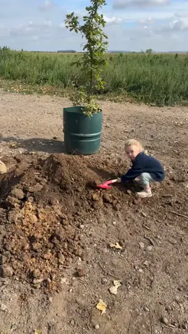Just a couple of farmers planting a tree 😂🪏 She lost the memo about filling the hole back up again and keeping the soil 🌳 #farmlife #farming #toddlersoftiktok #foryou #2yearold 