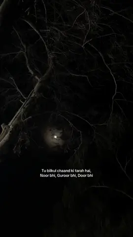 #fyp #poetry #deeplines #sadpoetry #unfreezemyacount 