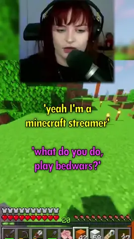 teehee #mcyt #Minecraft #mcyt 