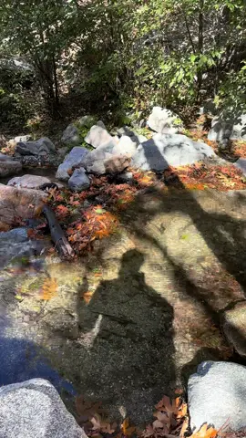Come on a solo hiking trip with me to the Angeles Forests 