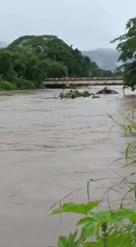 CRECIENTE ESTA LLEGANDO ALOS RIO TONOSI 