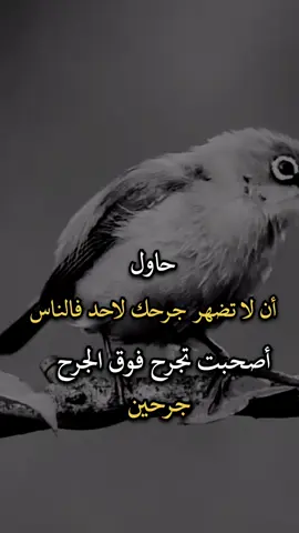 #عبارات #افضل_عبارة_لها_تثييت، #افضل_عبارة_لها_تثييت، #عباراتكم_الفخمه📿📌 