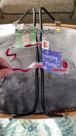 This gift is making me cry😭😭 #tiktokmademebuyit #dog #toastyhoody #smalldogs #doglover 