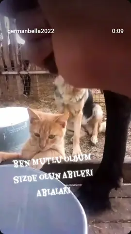 #zoo #cat #hayvanlar 