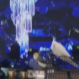 #hawler #duhok #zaxo_duhok_hewler_slemani_hawler #zaxo #bakur_başur_rojava_rojhilat 