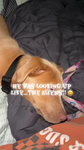 They coming for us and I may just go willingly…🤦🏼‍♀️