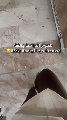 #كلية_التربية_للعلوم_الانسانية #جامعة_البصرة #جامعة_الكرمة #كلية_التربية 