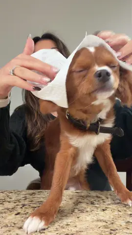 I tried this so many times I think his head is deformed lol 