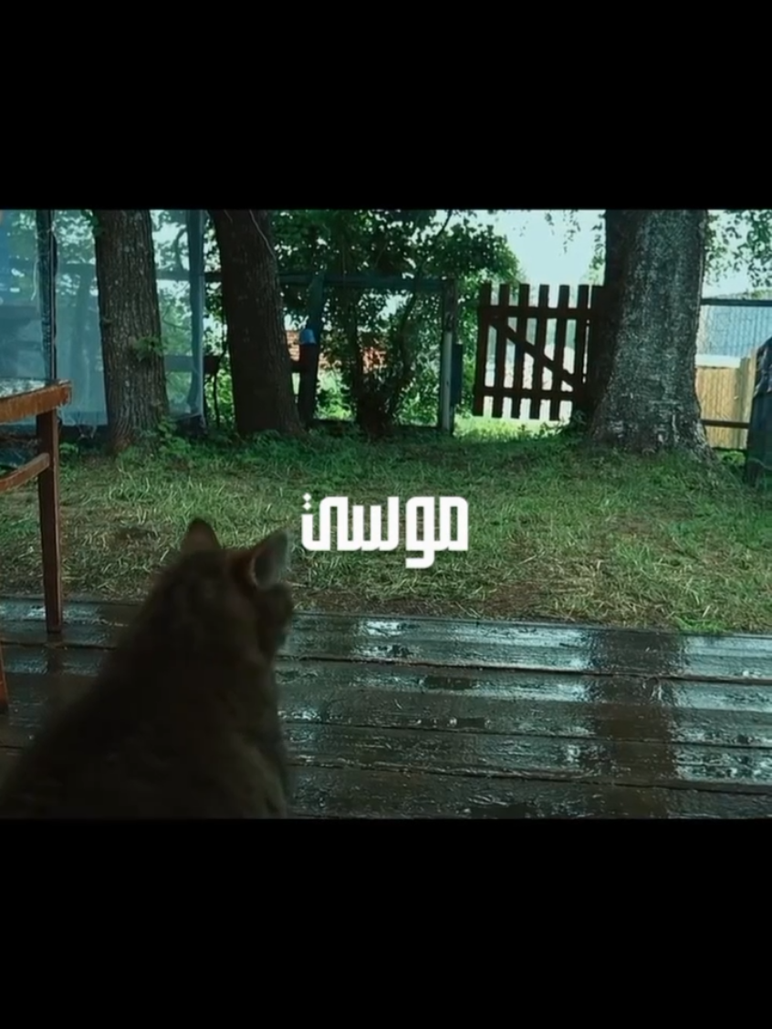 ☁coma جاية وانا ماشي وسعيد #موسي_سام #راب_مصري #Mousv #الساقع🥶 