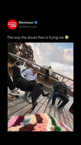 Cartoon aah fall 😭 (🎥/ via Collab ) #memezar #fails 