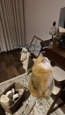 #Meme #MemeCut 😂😂 #الشعب_الصيني_ماله_حل #fypシ #f 