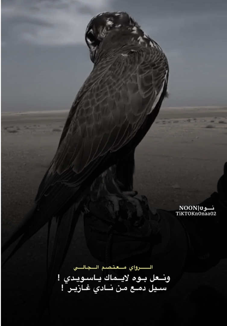 _دايم الله ياسيدي ! _قتله الـموت حق لاهي فيدك ولافيدي ! #الشاعر #معتصم_الجالي  #شعراء_وذواقين_الشعر_الشعبي #ليبيا #طبرق 