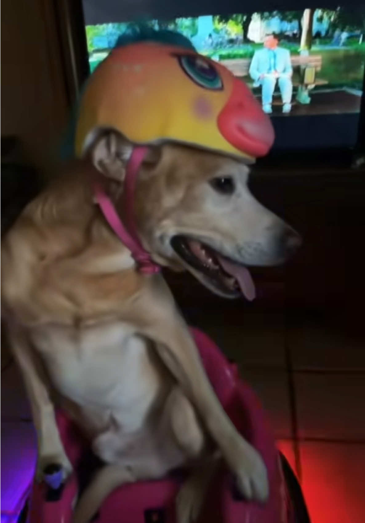 Limp “biscuit” #fyp #trend 