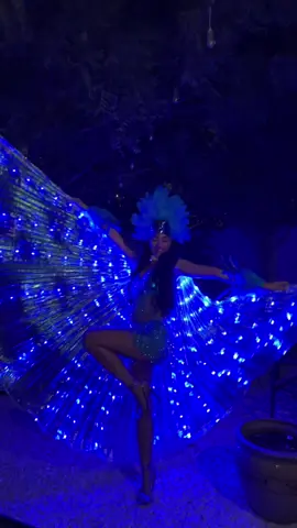 rio bird costume 💙