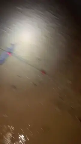 ماشاءالله #عربي صيد اليوم#مقنا #شيخ حميد#اكسبلور_تيك_توك #اكتوبر 