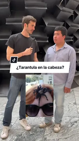 Creo que ellos no están hechos para El Conquistador 😂 Si te gusta lo extremo, yo que tú, no me perdía el estreno este lunes 27 por el canal 5 a las 9:30 de la noche @El 5 #ElConquistador #BrutalEstreno #publicidad 