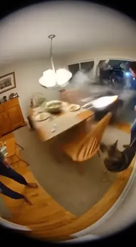 Absolutely terrifying I’m in court on home CCTV camera turns to luckiest moment as this dog saved these people, dogs instinctive is different! Car smashed into home both are lucky not to have a scratch on them || dogs saves owner || doges protecting people || dog videos || caught on camera #fyp #foryourpage #viral #trending #tiktok 