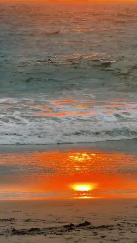 CALIPSO #🌊 #paratiiiiiiiiiiiiiiiiiiiiiiiiiiiiiii #davyjonesycalipso #calipso #piratasdelcaribe 