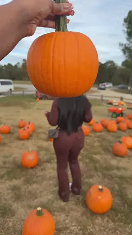 It’s a Pumpkin head Season 🥰 #pumpkinseason #pumpkin #pumpkinpatch #pumpkincarving #fall 