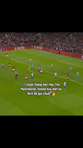 🔥#manchesterunited #doanhdinh #chuoi #camxuc #xh 