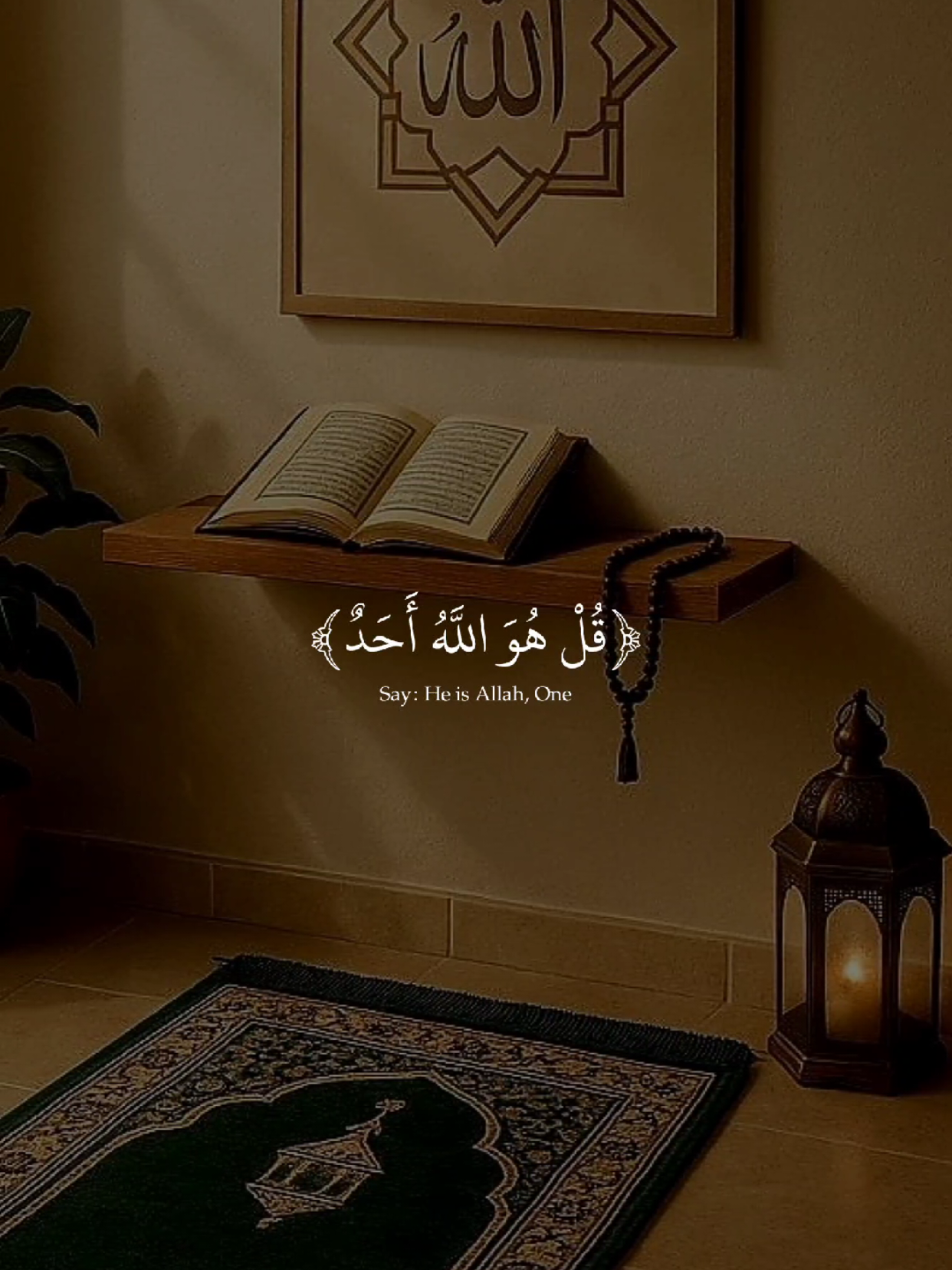 سورة الإخلاص  سورة الفلق  سورة الناس  #قران #quran #قران_كريم #Allah #اللهم_صلي_على_نبينا_محمد 