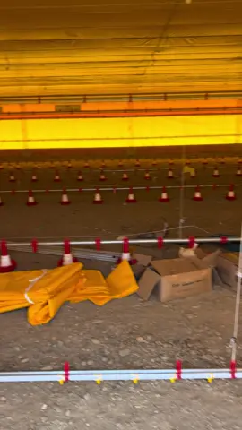 A días de terminar #pollosdeengorde #tarijabo🇮🇩🇧🇴 #sacrificio #pasion 