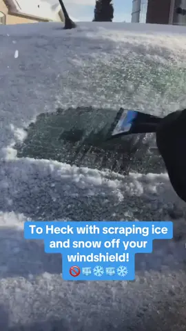 The Weatherforce 360 windshield protector is amazing. Keep the snow and ice off of your  windshield this winter. No more scraping or brushing ice and snow. It is very heavy duty and will keep your windshield clean all winter long. It’s also excellent to keep the heat out out of your car and off your steering wheel. @@Bell and Howell##winterdriving##noice##nosnow##winterhack##windshield