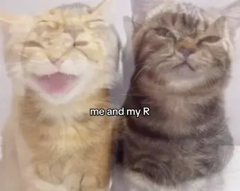 #R #r #ялюблюрому #Love #fyp 