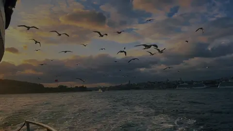 #zakaryaabdulla #zakaria #viraltiktok #istanbul 