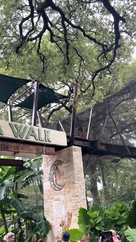 Saw this at the zoo lol#pantera #heavymetal #zoo #xyzbca #fypシ 