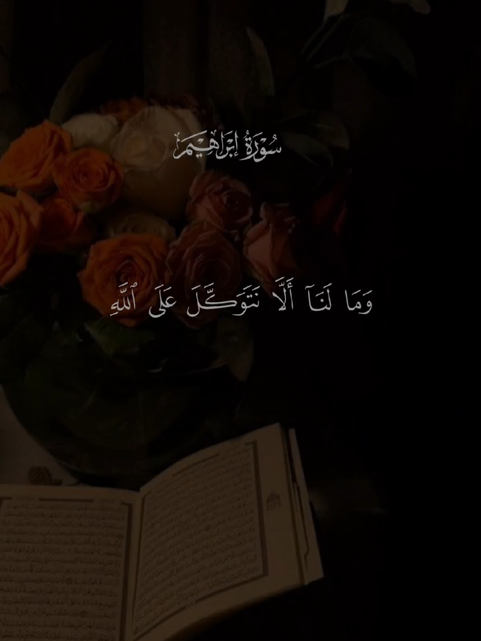 #قران #quran #قران_كريم #quran_alkarim #القران_الكريم 
