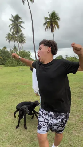 Ay mi pobre gatitooo🐈 @Angee_07 