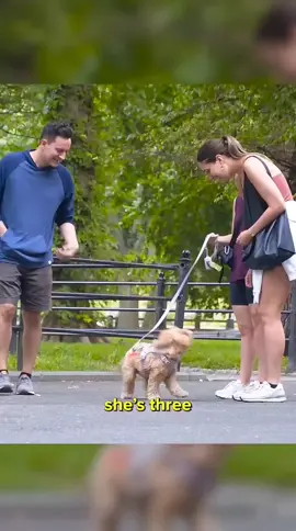 #fartprank #farts  #funny  #funnyvideos  #funnytiktok          