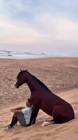 Poeple will say ia 😂😂 #marrakech #morocco🇲🇦 #fyp #explore #essaouira 