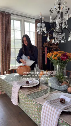 fantasy pumpkin picked up at Trader Joe’s :)