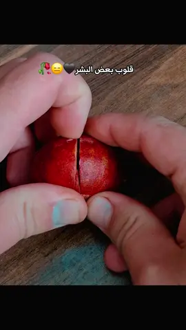 قلوب بعض البشر#ستوريات_حزينة  #نجف_بغداد_حله_ناصريه_كربلاء_كركوك_تكريت #العسكري #موصل_العراق_ #شعب_صيني_ماله_حل😂😂 