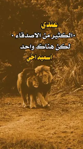 #عبارات_جميلة_وقويه😉🖤 #تصميم_فيديوهات🎶🎤🎬  #اكسبلوورر 