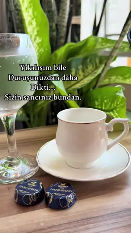 Yıkılışım bile Duruşunuzdan daha Dikti… Sizin sancınız bundan.