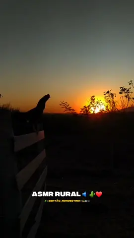 ASMR RURAL🔊🌵❤️ #interior #sertão #nordeste #nordestino #creatorsearchinsights 