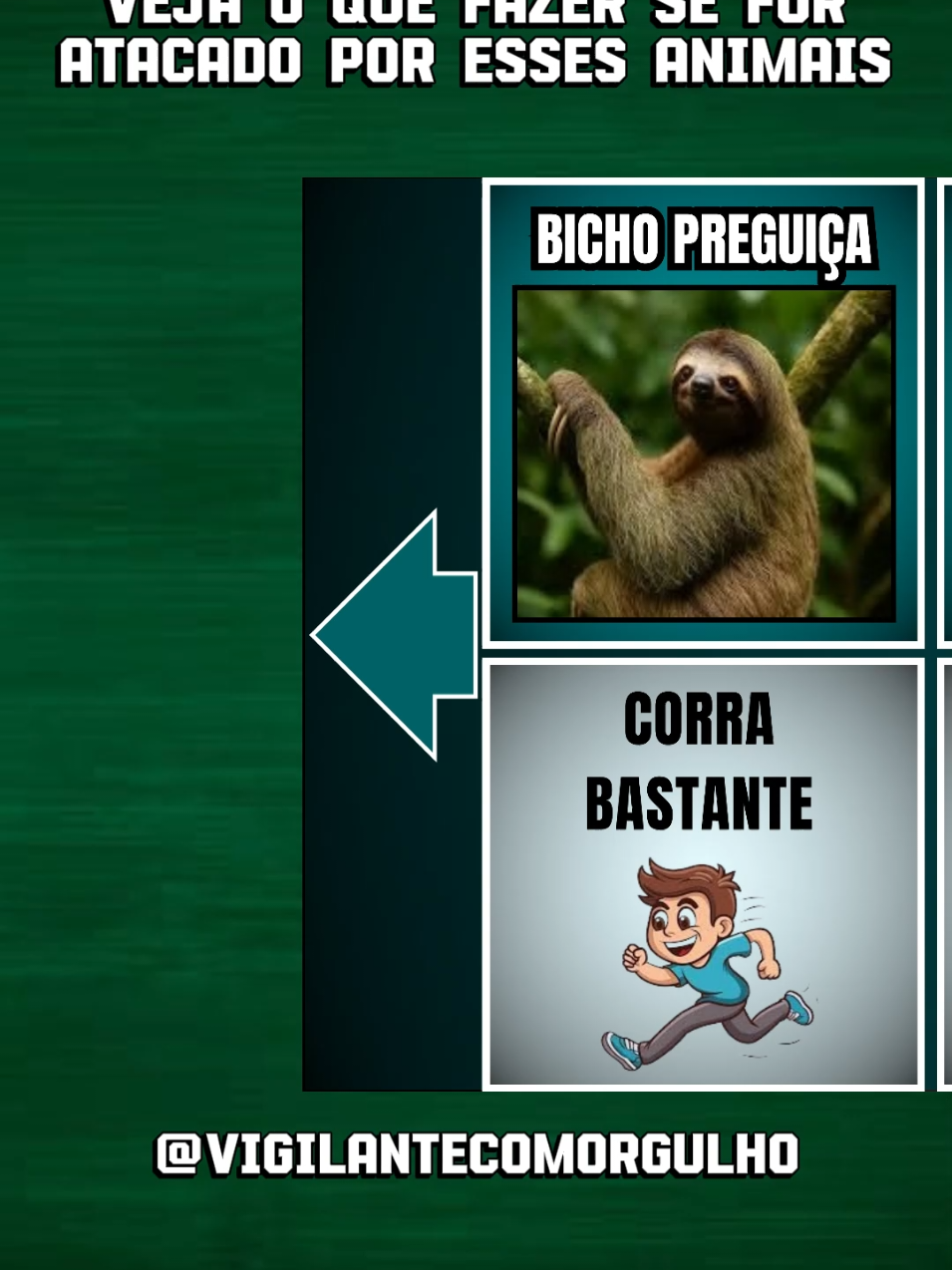 Veja o que fazer se for atacado por esses animais  #souvigilantecomorgulho #vigilantedeku #segurancaprivadadobrasil💀💀💀💀 #segurancaprivada👊 #salariodosvigilantes 