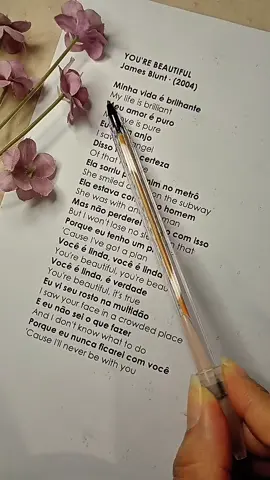 🥰🎶 #jamesblunt #traducao #letrasdemusicas #yourebeautiful 