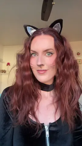 Broadway Halloween parade ready! #denver #denvercolorado 