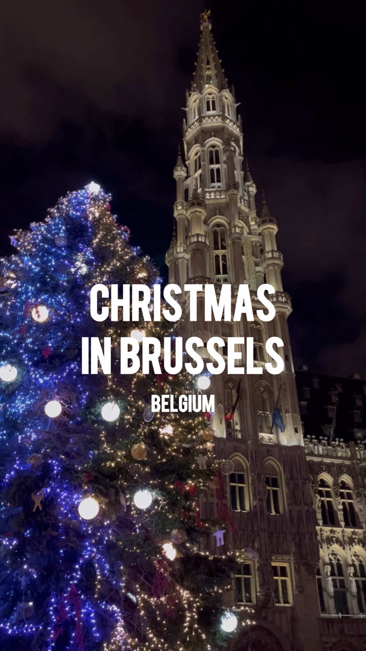 🎄✨ Brussels Winter Wonders 2025 is here! From Nov 28, 2025 to Jan 4, 2026, Brussels turns into a fairy-tale Christmas village 🌟 🕛 Hours: 12 p.m. – 10 p.m. (closes early at 6 p.m. on Dec 24 & 31) 📍 Locations: Grand-Place • Place Sainte-Catherine • Marché aux Poissons (Vismarkt) • Bourse • Place de la Monnaie • Place de Brouckère 🎁 Highlights: ✨ 200+ wooden chalets with food, drinks & artisanal gifts 🌲 Magical Christmas tree + light & sound show at Grand-Place 🎡 Ferris wheel, ice rink & merry-go-round fun 🎭 Cultural shows & cozy festive vibes all around 🇧🇪 Experience the heart of European Christmas magic! #brusselschristmasmarket #winterwonders2025 #visitbrussels #christmasineurope #holidayvibes
