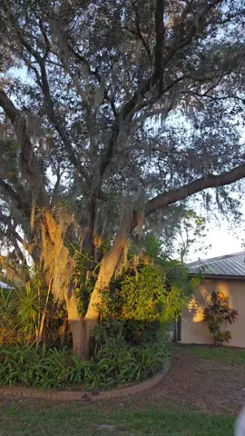 Oh Hi #terrifierclown #clowncheck  #arttheclownterrifier #jokergotjoker #jokergotjokers 