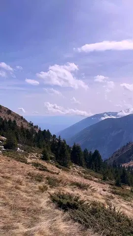 #aesthetic #nature #relax #moody #foryou 