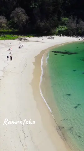 🙌✨🇨🇱🇨🇱🇨🇱🇨🇱