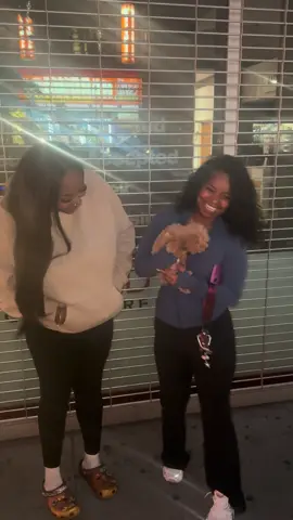 Congratulations on your new bundle of joy @TheRealMyaBanks #fyb #NYCPuppies #BrownPoodle #SmallDogBigHeart #ToyPoodlePuppy 