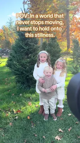 Book that mini session because it’s worth every penny cent. We can’t get these memories back #christmaspictures #xmaspictures #holiday #MomsofTikTok #christmastreefarm #taylorswift 