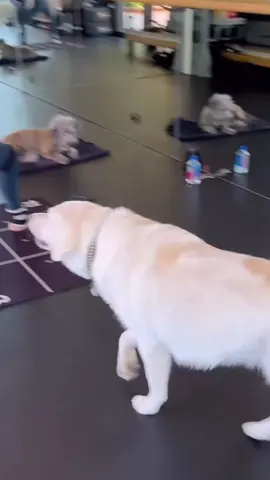 The fun stuff comes when someone is not so strict on sticking to the script. You're allowed the spontaneity, and great moments can happen #jeniferaniston  #jeniferanistonedit #aniston  #jenifferaniston #themorningshow 