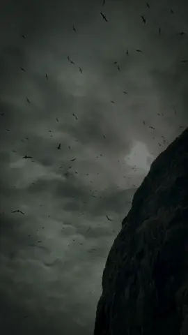 {بِسْمِ اللَّهِ الرَّحْمَنِ الرَّحِيمِ} #استخفراللە #فلسطين #قران_كريم #viral #fyp 